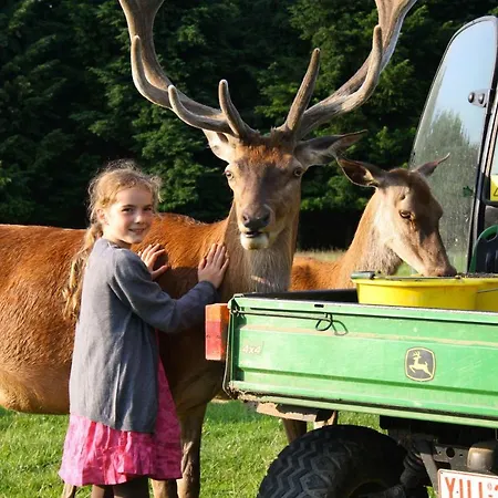 Hébergement de vacances Traquebois Fauvillers